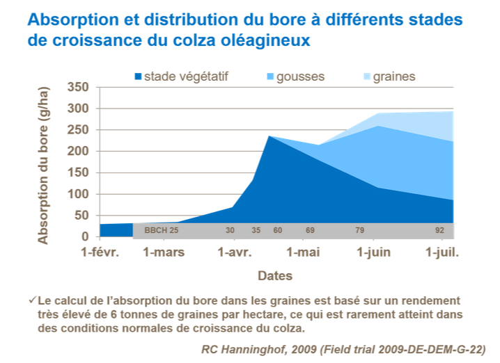 Graphique sur l'absorption et distribution du bore à différents stades de croissance du colza oléagineux