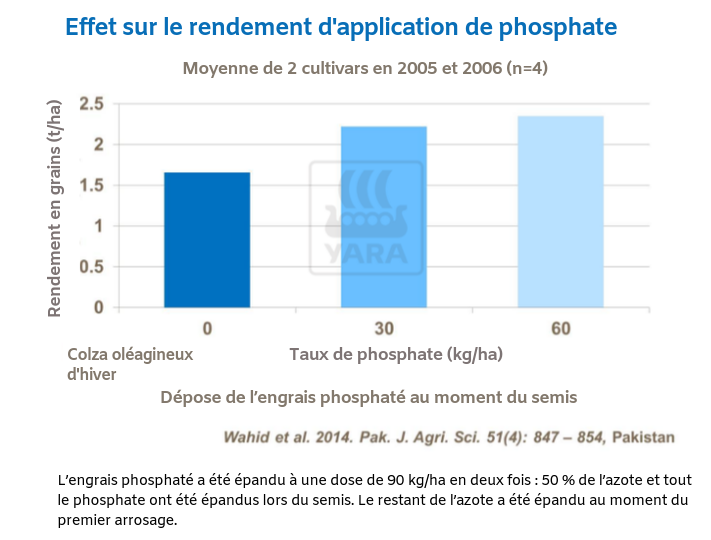 Effet sur le rendement d'application de phosphate
