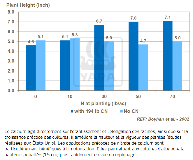 Calcium et hauteur de la plante