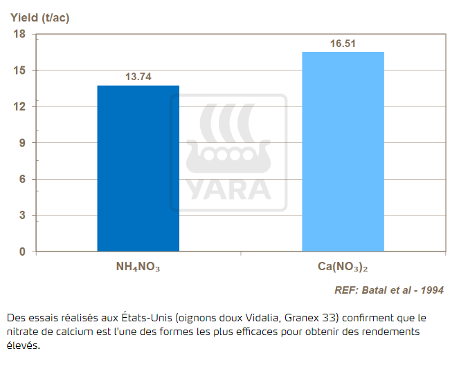 Nitrate de calcium et rendement