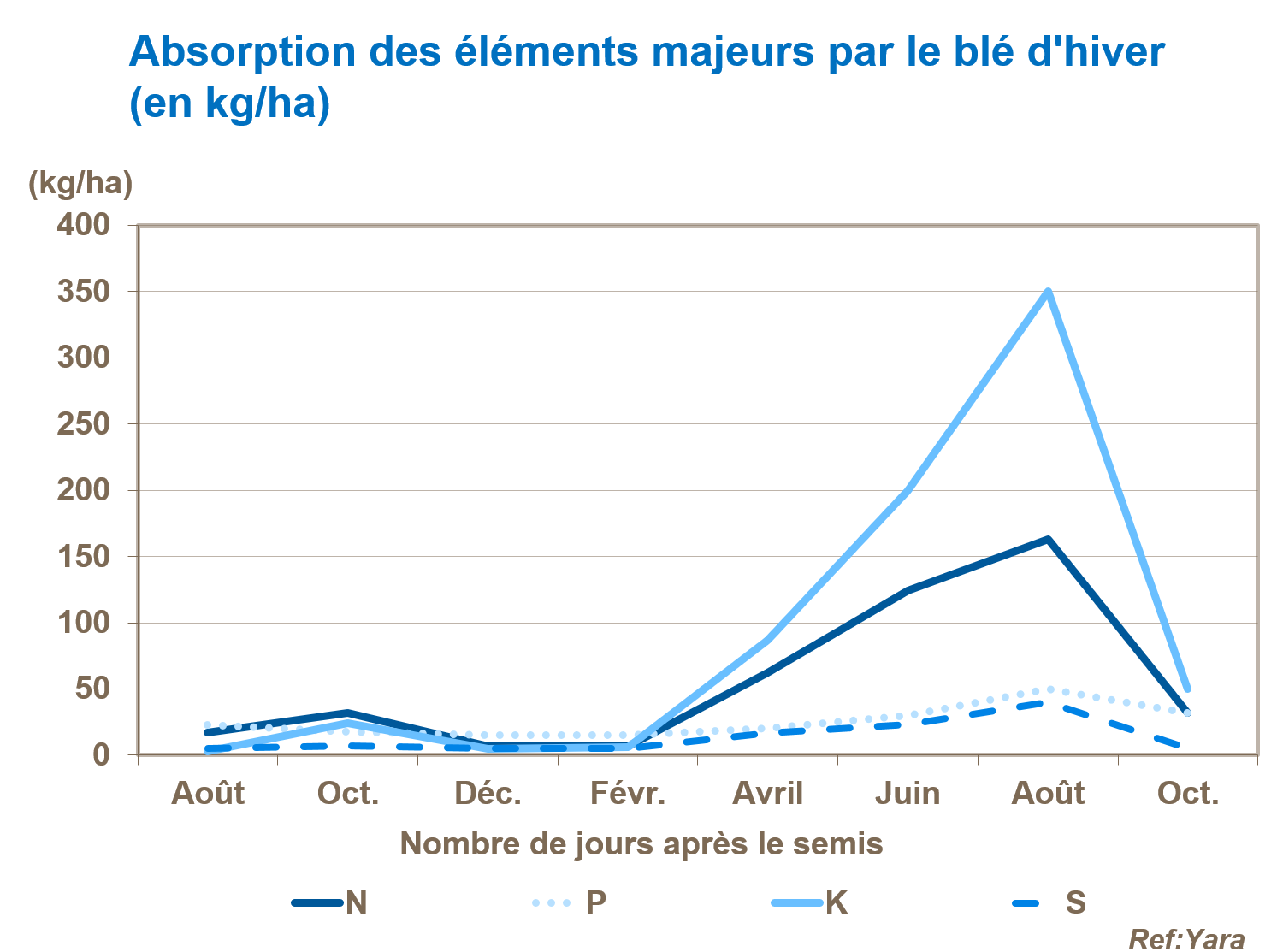 Graphique sur l'absorption des éléments majeurs par le blé d'hiver 