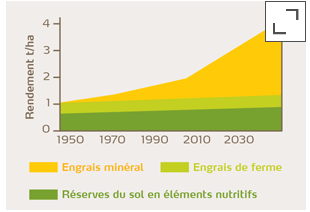 Effet sur le rendement de différents engrais