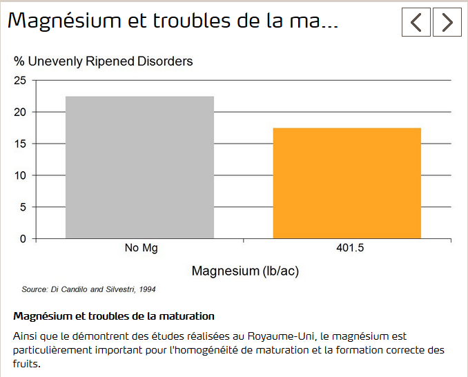 Magnésium important pour bon développement des fruits