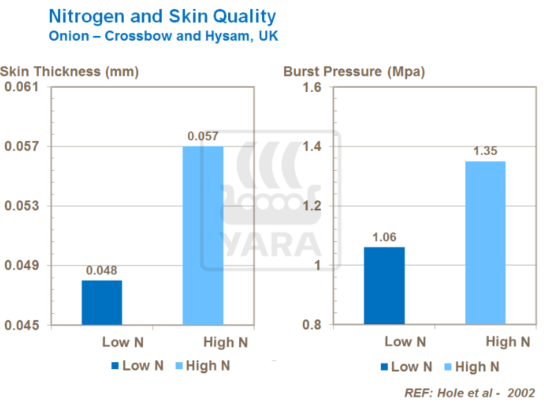 Azote et qualité de la peau