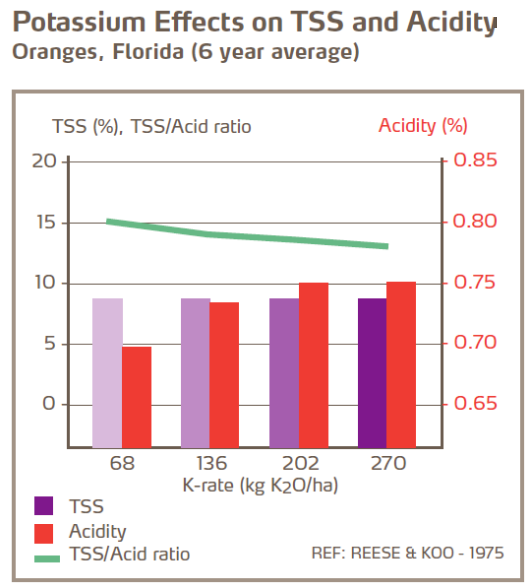 Effets du potassium sur SST et acidité - Oranges