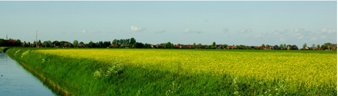 Un champ près d'un canal