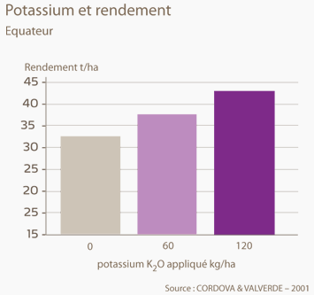 potassium et rendement