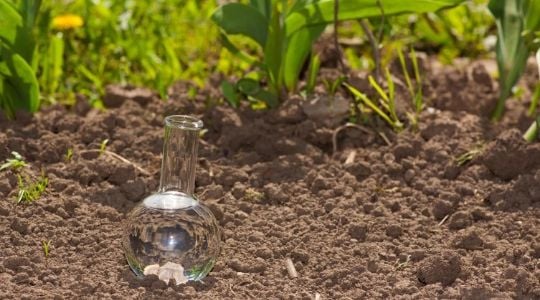 Phosphore et potassium dans le sol