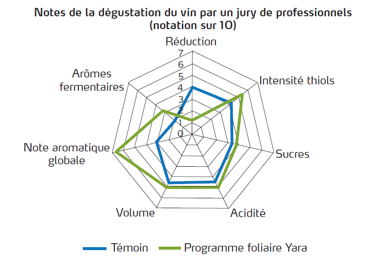 Notes de la dégustation du vin par un jury de professionnels