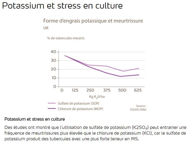Potassium et stress en culture