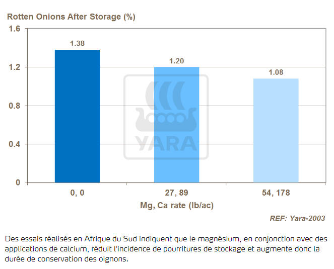 Magnésium, calcium et pourriture