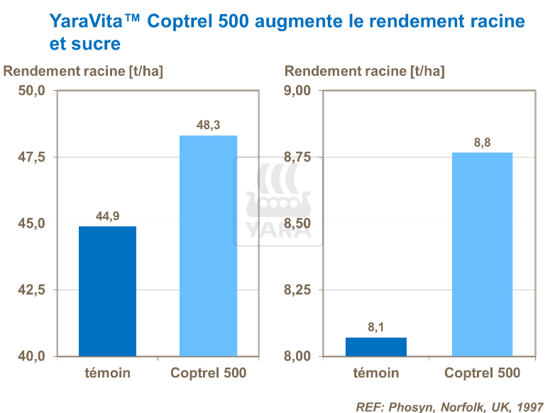 Effet de YaraVita Coptrel sur rendement racine et sucre