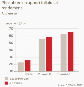 Phosphore et rendement