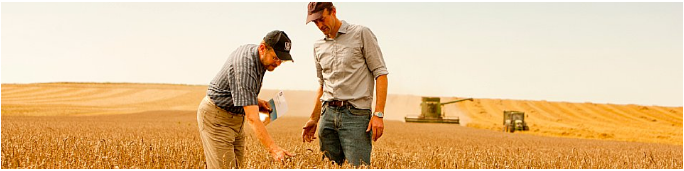 Deux hommes dans un champ