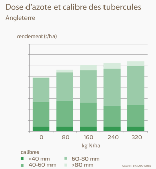 Azote et calibre des tubercules