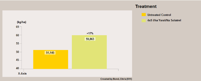 Illustration essais oignon