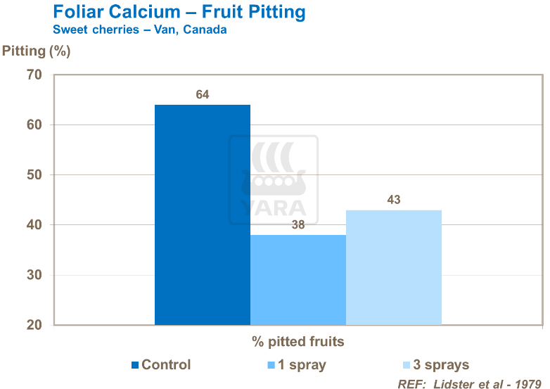Calcium foliaire et piqûres de cerises