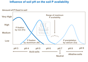 Influence du pH du sol sur disponibilité du phosphore du sol