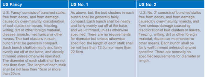 Critères de qualité du brocoli