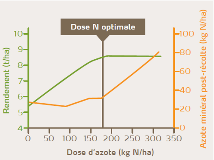 Le risque de lessivage des nitrates n’augmente que lorsque l'on dépasse la dose d’azote optimale