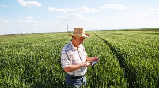 Un agriculteur utilise une tablette dans un champ