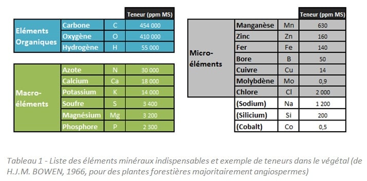 liste les éléments minéraux actuellement connus pour être indispensables à la plante supérieure