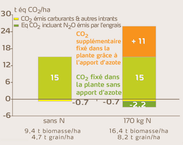 Apport en azote permet de fixer plus de CO2