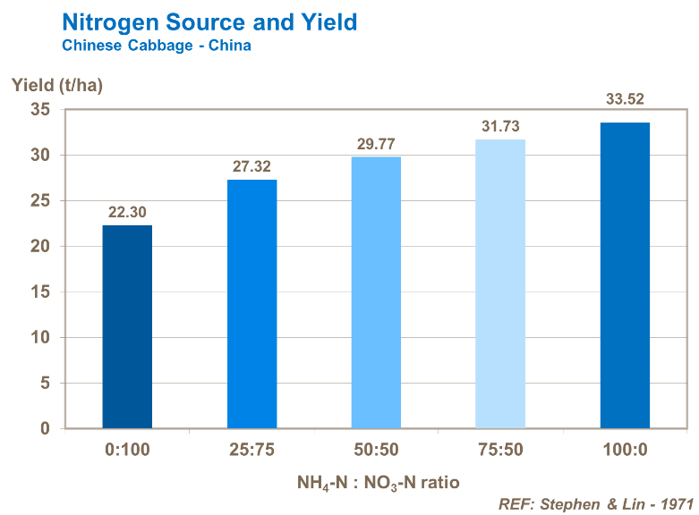 Source d'azote et rendement - Chou chinois