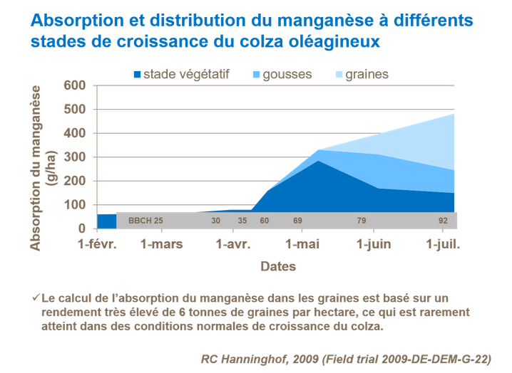 Graphique sur l'absorption et distribution du manganèse à différents stades de croissance du colza oléagineux