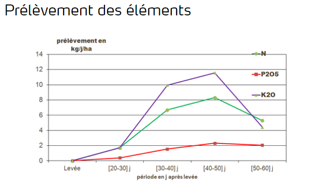 Prélèvement des éléments 