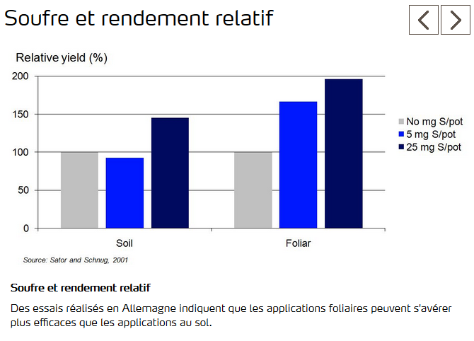 Graphique montrant efficacité applications foliaires