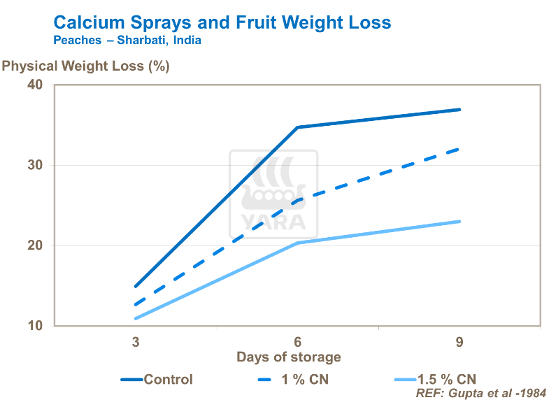 Pulvérisation de calcium et perte de poids des pêches