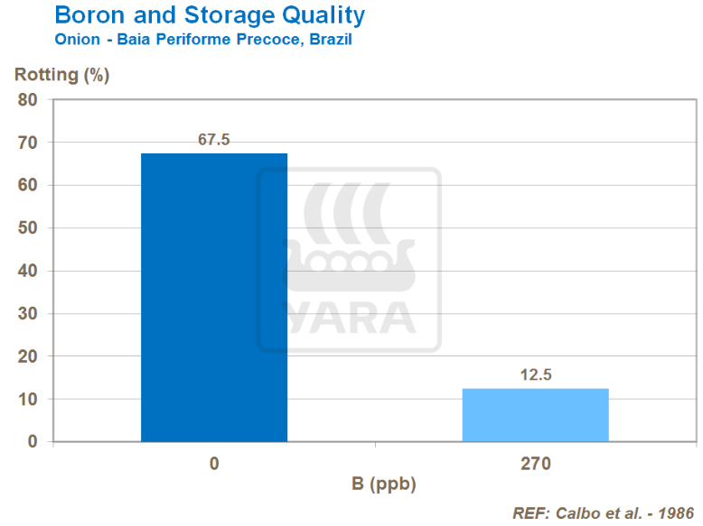 Liens entre bore et qualité de stockage