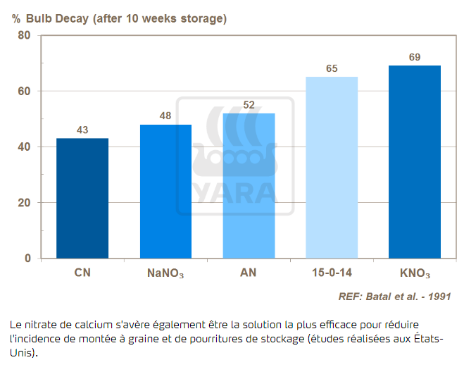 Nitrate de calcium et pourritures de stockage