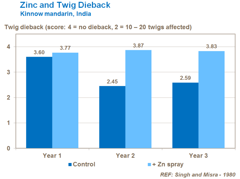 Zinc et dépérissement des rameaux - Mandarines