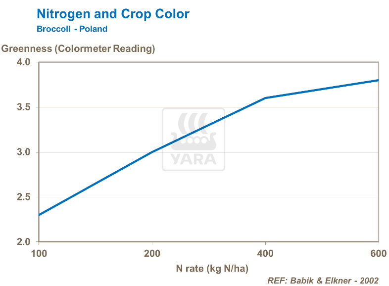 Azote et couleur des récoltes - Brocoli