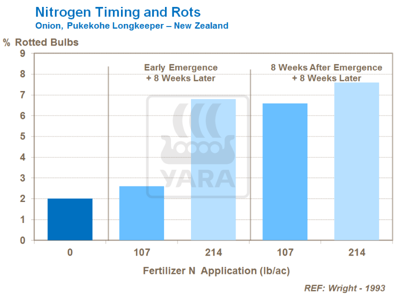 Apports tardifs en azote entraînent augmentation pourritures de stockage
