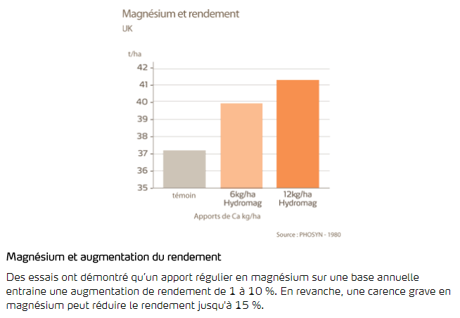 Magnésium et rendement
