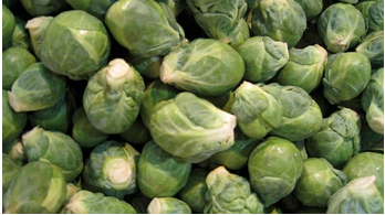 Choux de Bruxelles