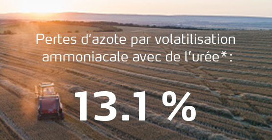 Infographie sur les pertes d’azote par volatilisation ammoniacale avec de l’urée 