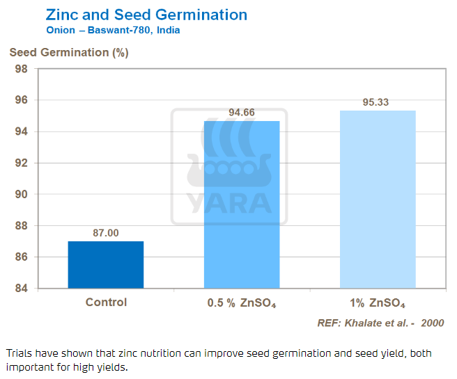 Zinc et germination des graines