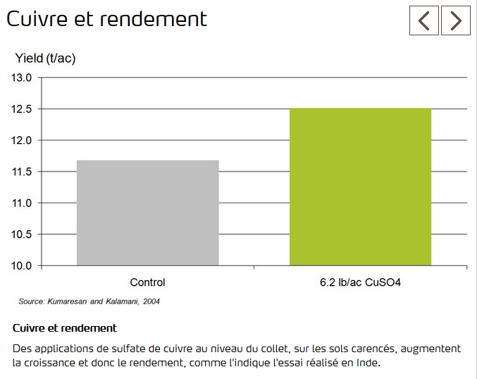 Application du cuivre augmente le rendement 