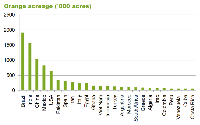 Superficie de production d'orange