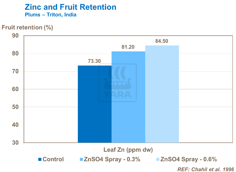 Zinc et rétention des fruits - Prunes