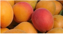 Abricots
