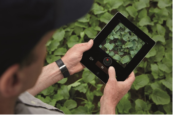 Illustration Yara ImageIT