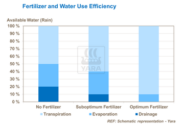 Lien entre fertilisants et consommation d'eau