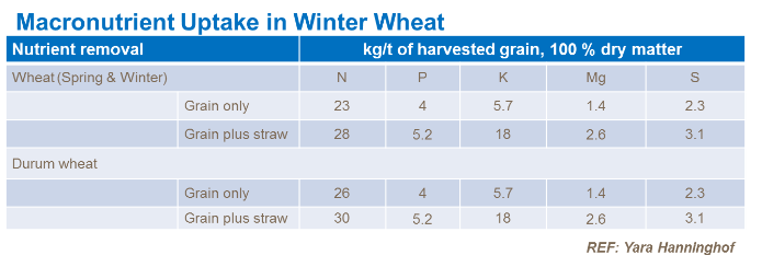 Tableau sur apports de minéraux dans culture du blé