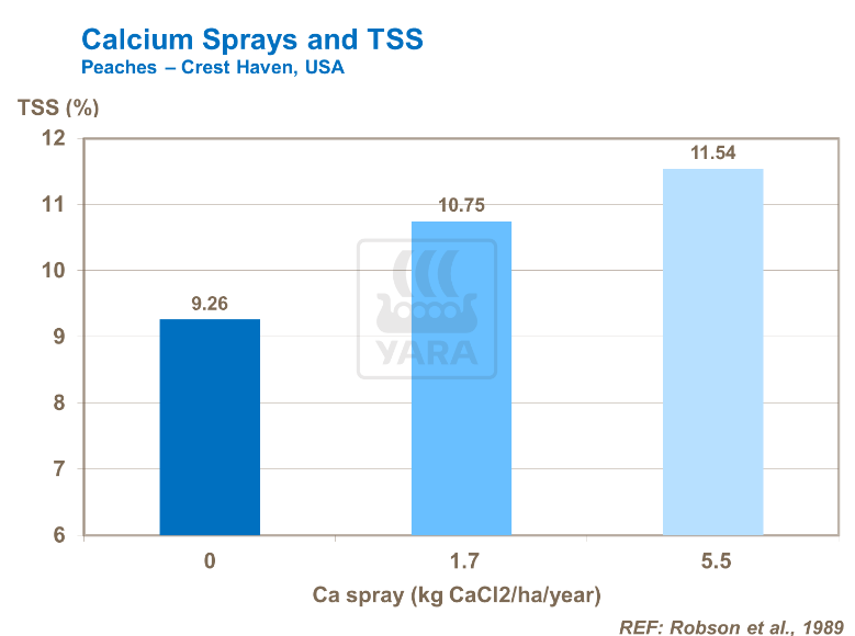 Pulvérisation de calcium et SST - Pêches