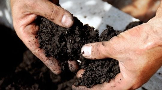 Un agriculteur tient de la terre dans ses mains